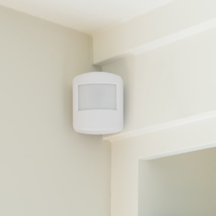 Palm Springs motion sensor